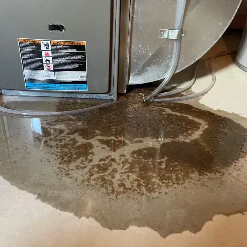 Appliance Leak Cleanup in Westville, IN